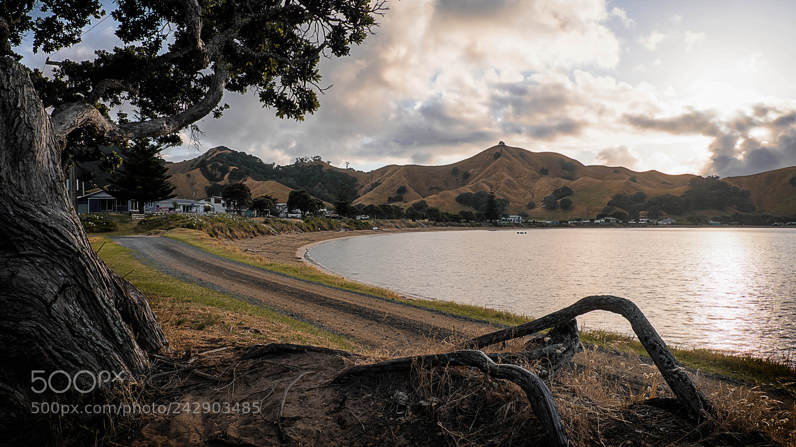Fujifilm X-T20 sample photo. Otautu bay sunrise photography