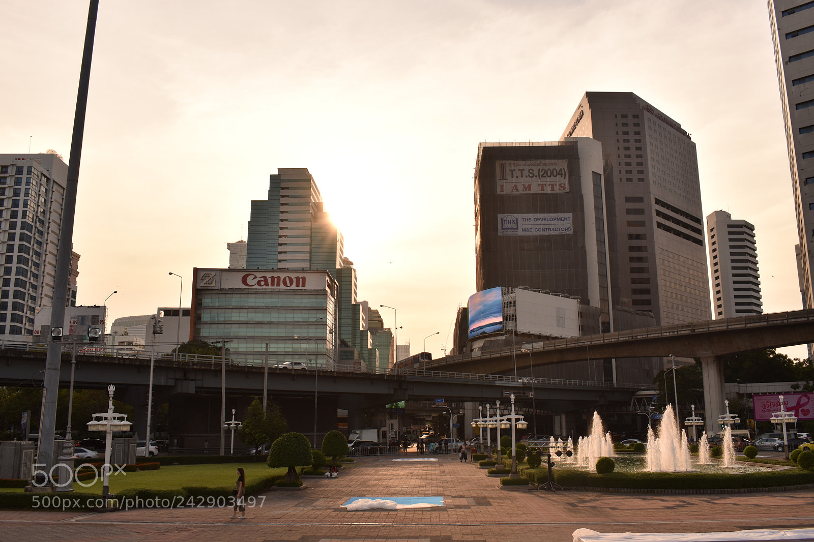 Nikon D3400 sample photo. Golden hour over the photography