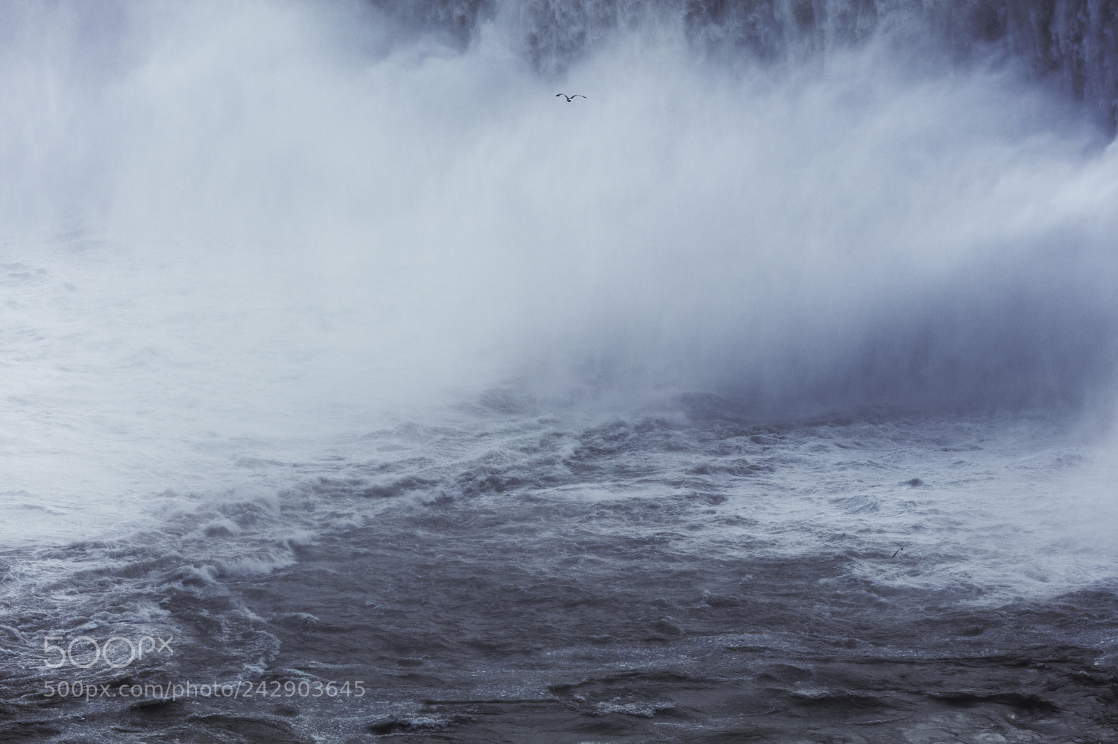 Canon EOS 5DS R sample photo. Untitled photography