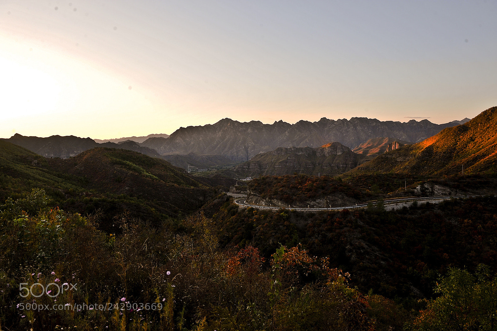 Nikon D3 sample photo. Untitled photography