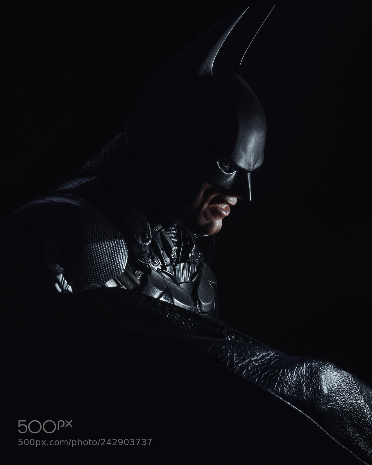 Sony Alpha a5000 (ILCE 5000) sample photo. Portrait of a bat photography