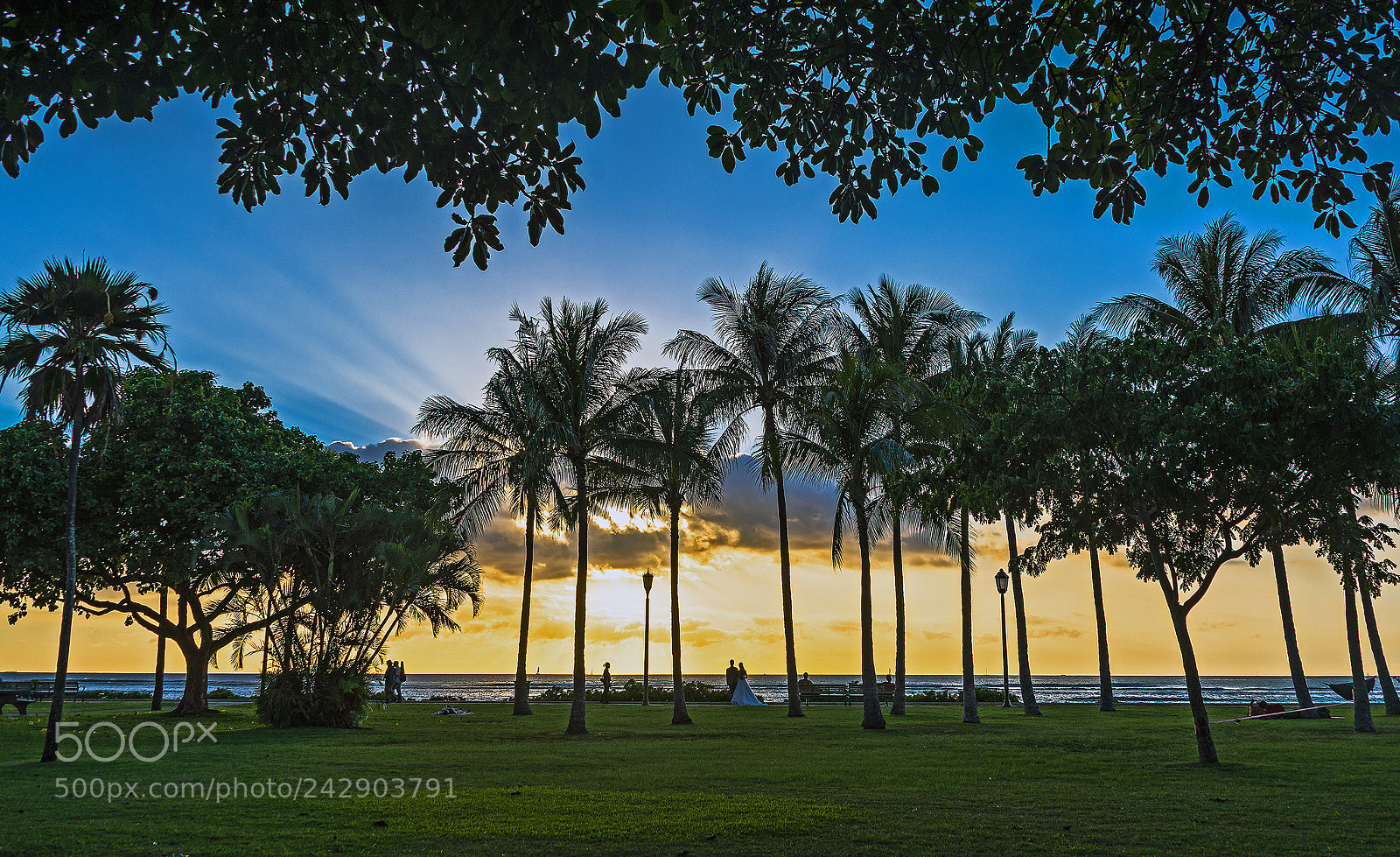 Nikon D610 sample photo. Sunset nuptials waikiki photography