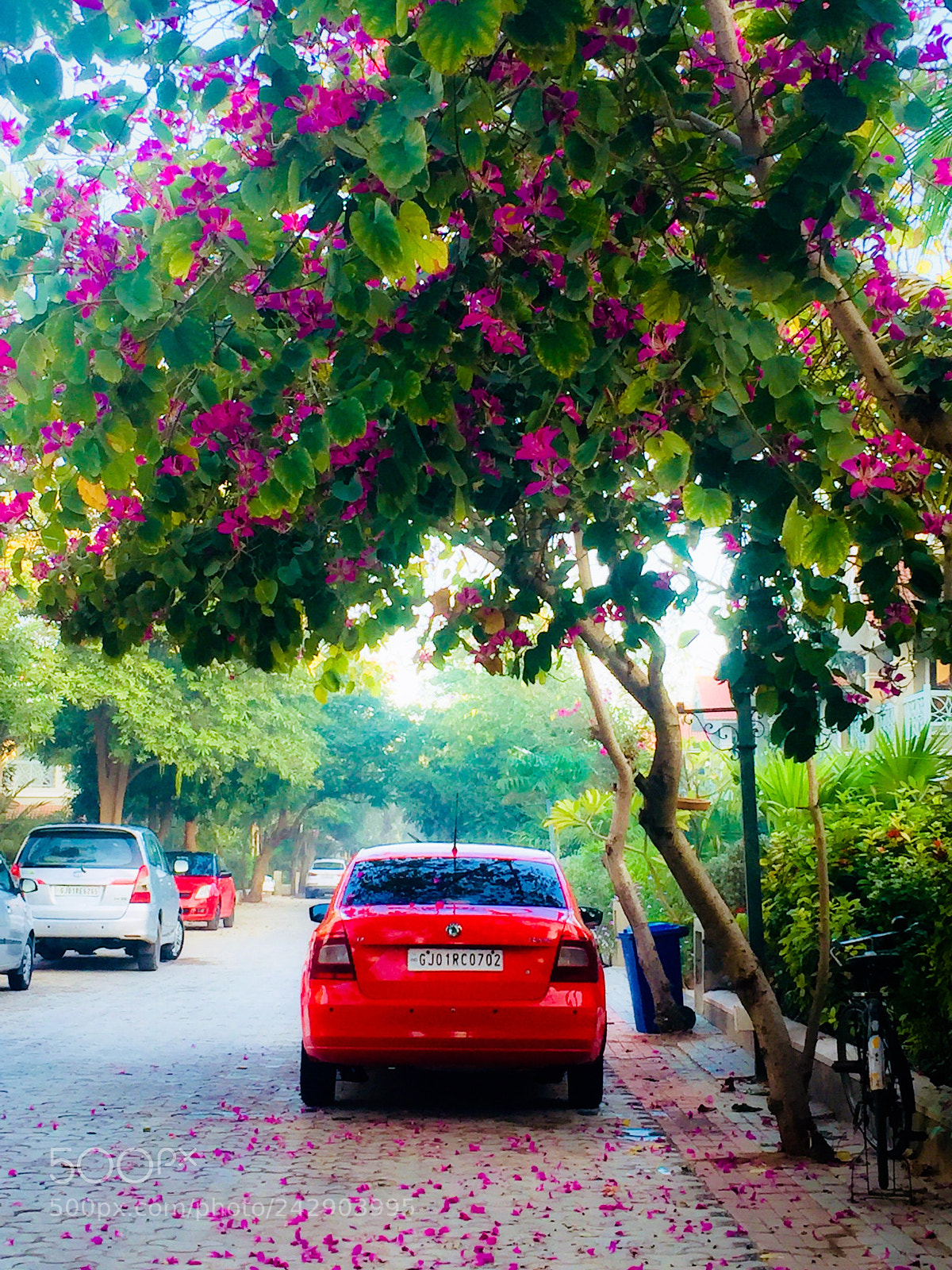 Apple iPhone 6 Plus sample photo. Good morning click photography