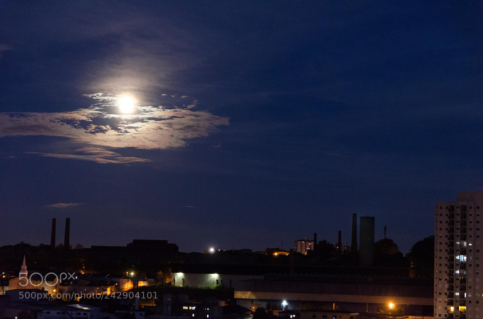 Nikon D5100 sample photo. Untitled photography