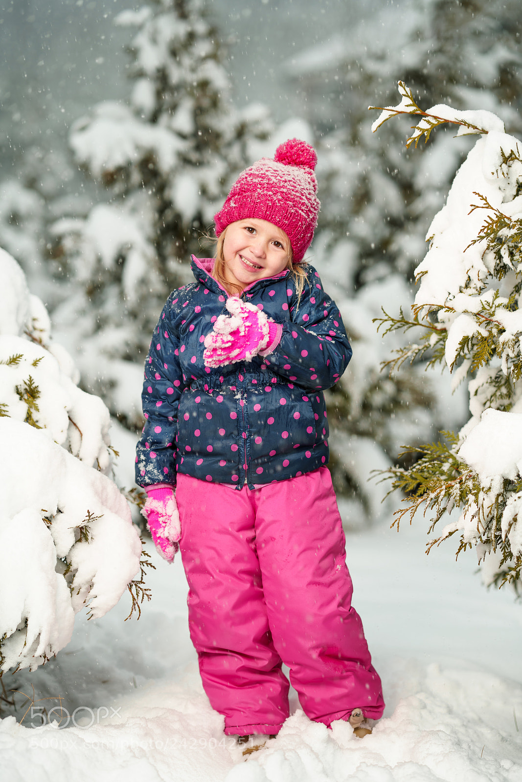 Sony a7R III sample photo. Snowday photography