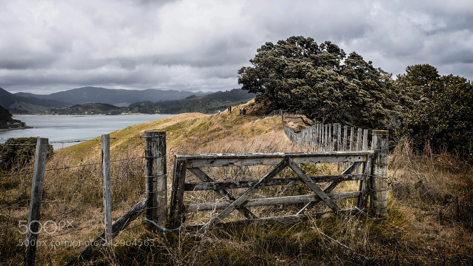 Fujifilm X-T20 sample photo. Otautu bay, new zealand photography