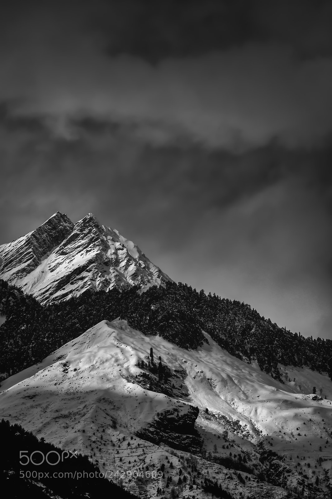 Nikon D7100 sample photo. Manali photography