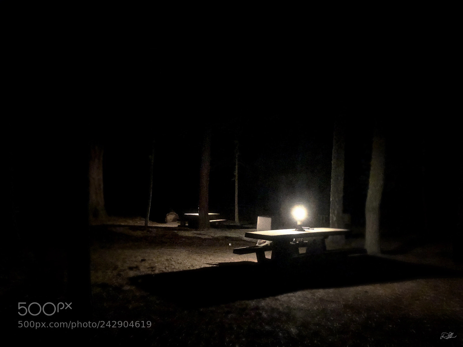 Apple iPhone X sample photo. Lantern-lit forest. photography