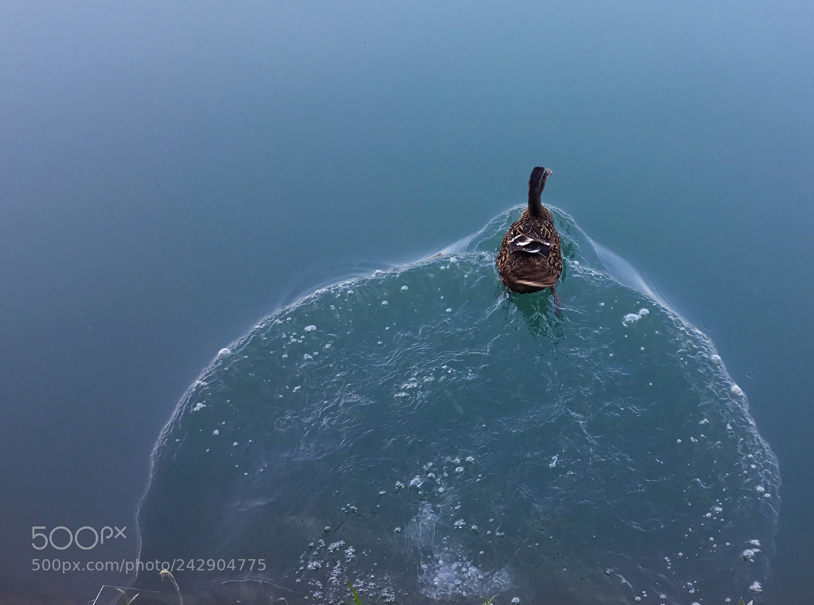 Apple iPad sample photo. The lone paddler photography