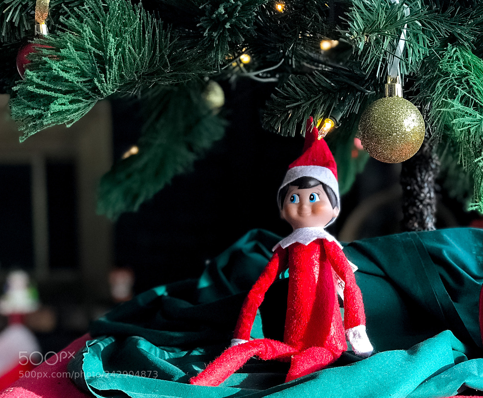 Apple iPhone 7 Plus sample photo. Elf on the shelf photography