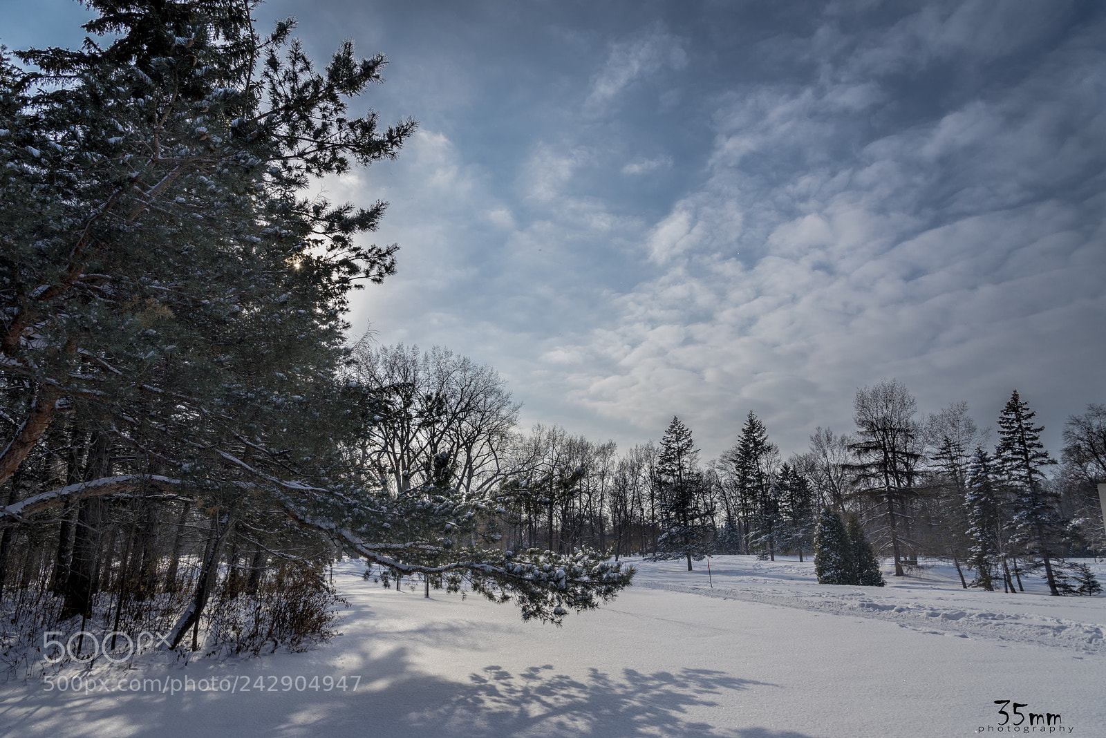 Nikon D610 sample photo. Winterland photography