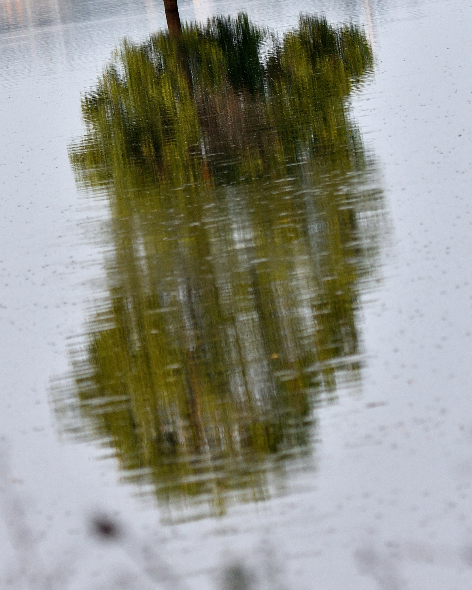 Nikon AF-S Nikkor 200-500mm F5.6E ED VR sample photo. A reflection photography