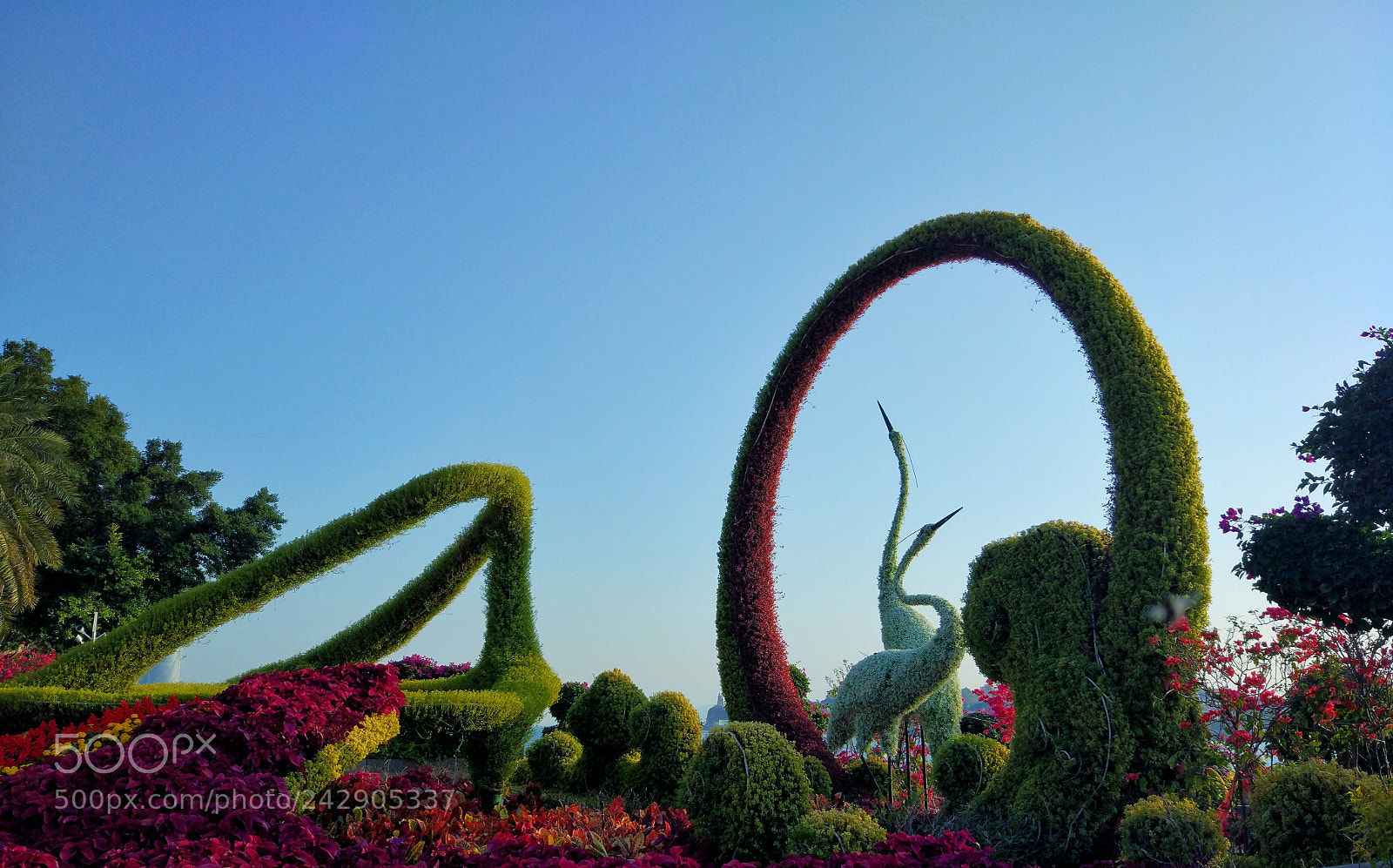 Xiaomi MI 5 sample photo. 鹭道声波 photography