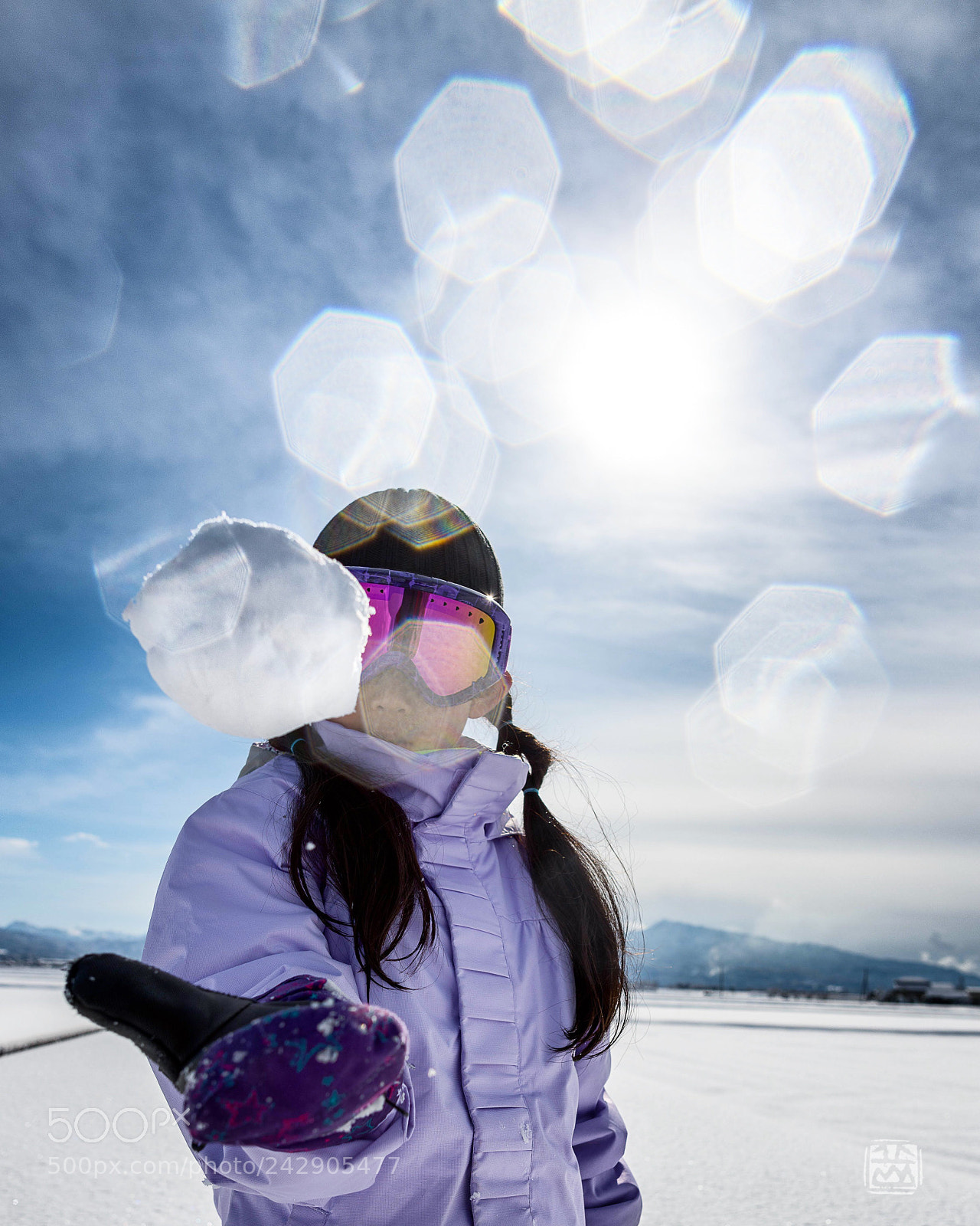 Nikon D850 sample photo. Shining  ball photography