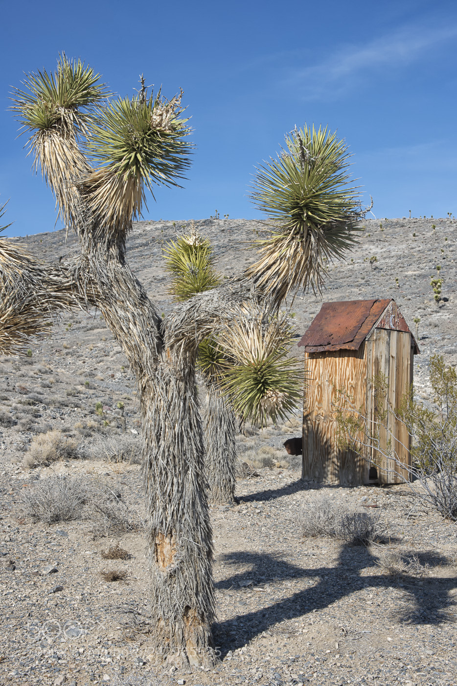 Nikon D800 sample photo. Outhouse photography