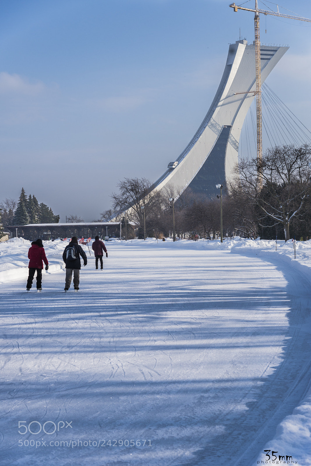 Nikon D610 sample photo. Montréal photography