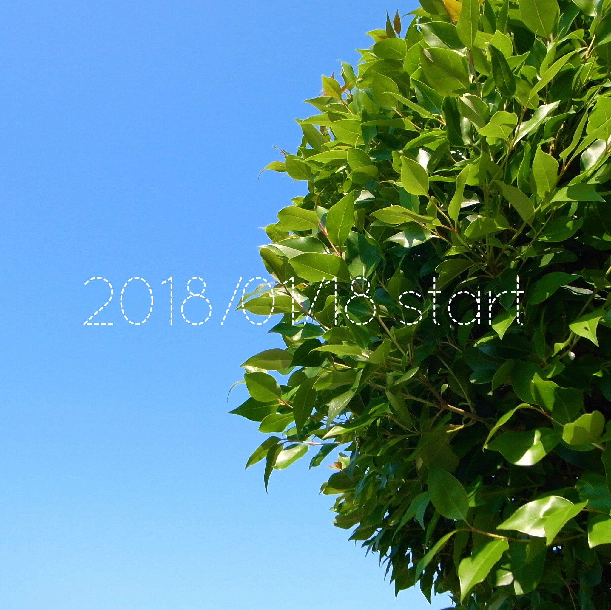 Ricoh GR DIGITAL 2 sample photo. 2018/01/18 start photography