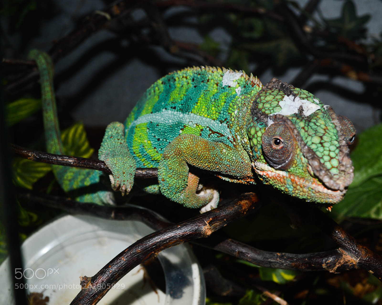 Nikon D3200 sample photo. Dsc photography
