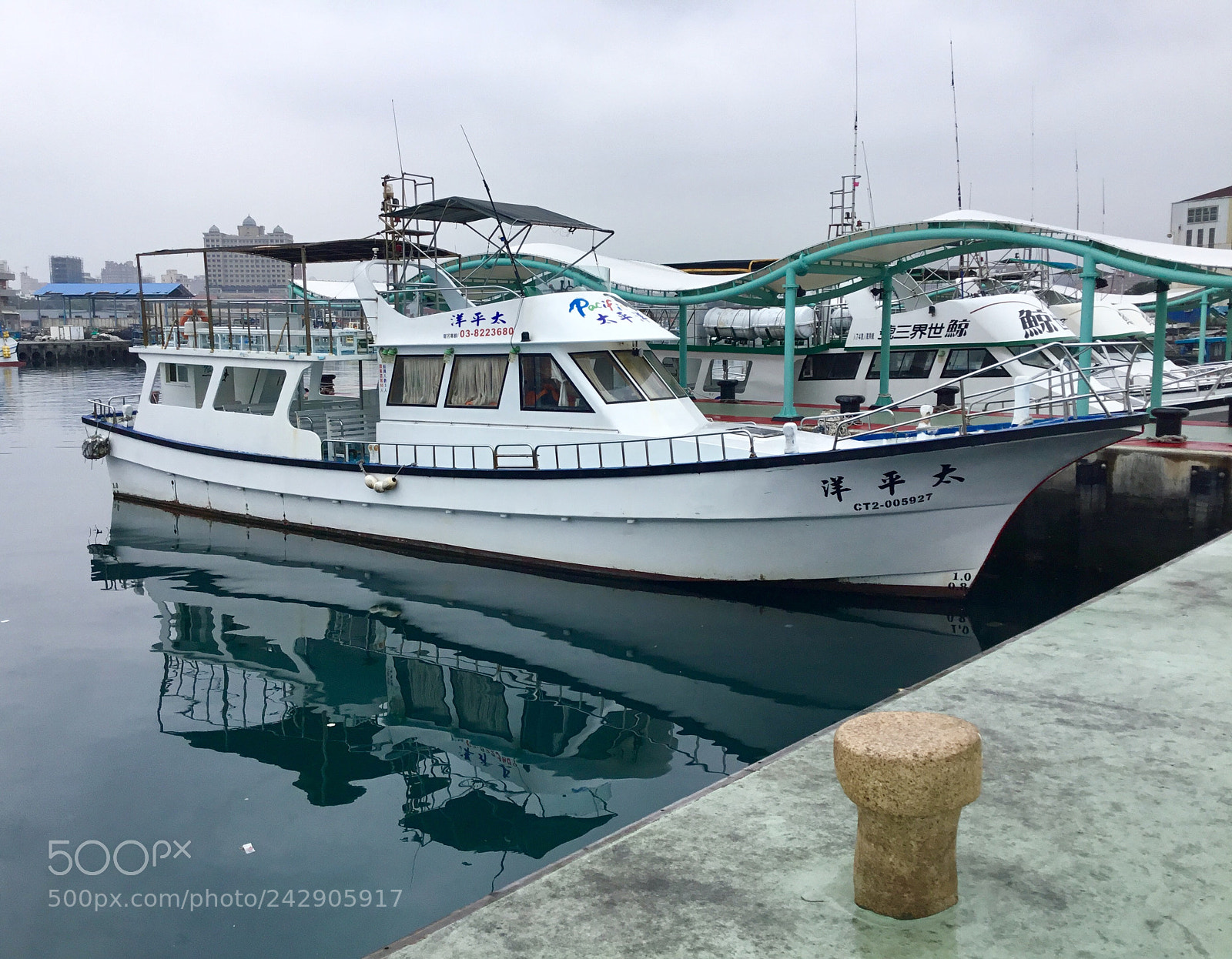 Apple iPad sample photo. Whale sighting boat photography