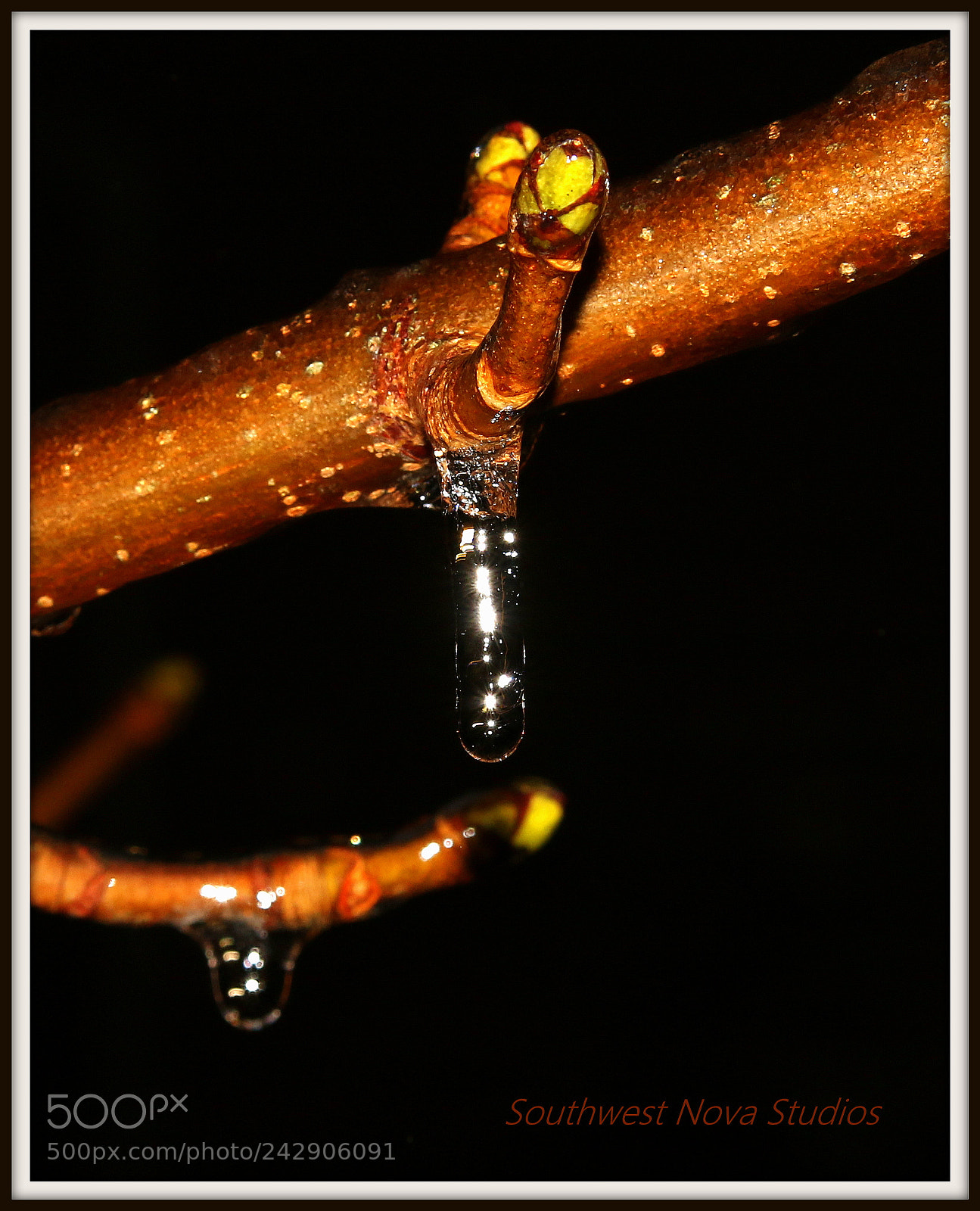 Canon EOS 7D Mark II sample photo. Drip photography