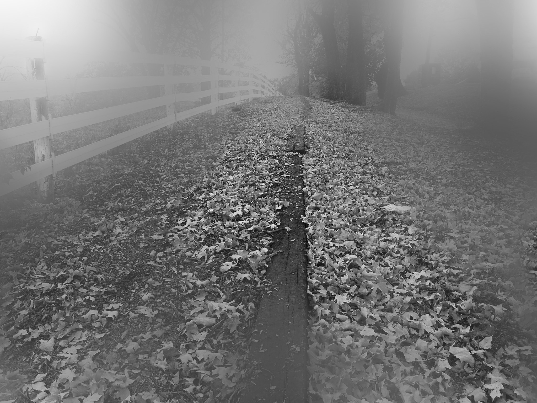 KONICA MINOLTA DiMAGE A1 sample photo. Fading memories in dream photography