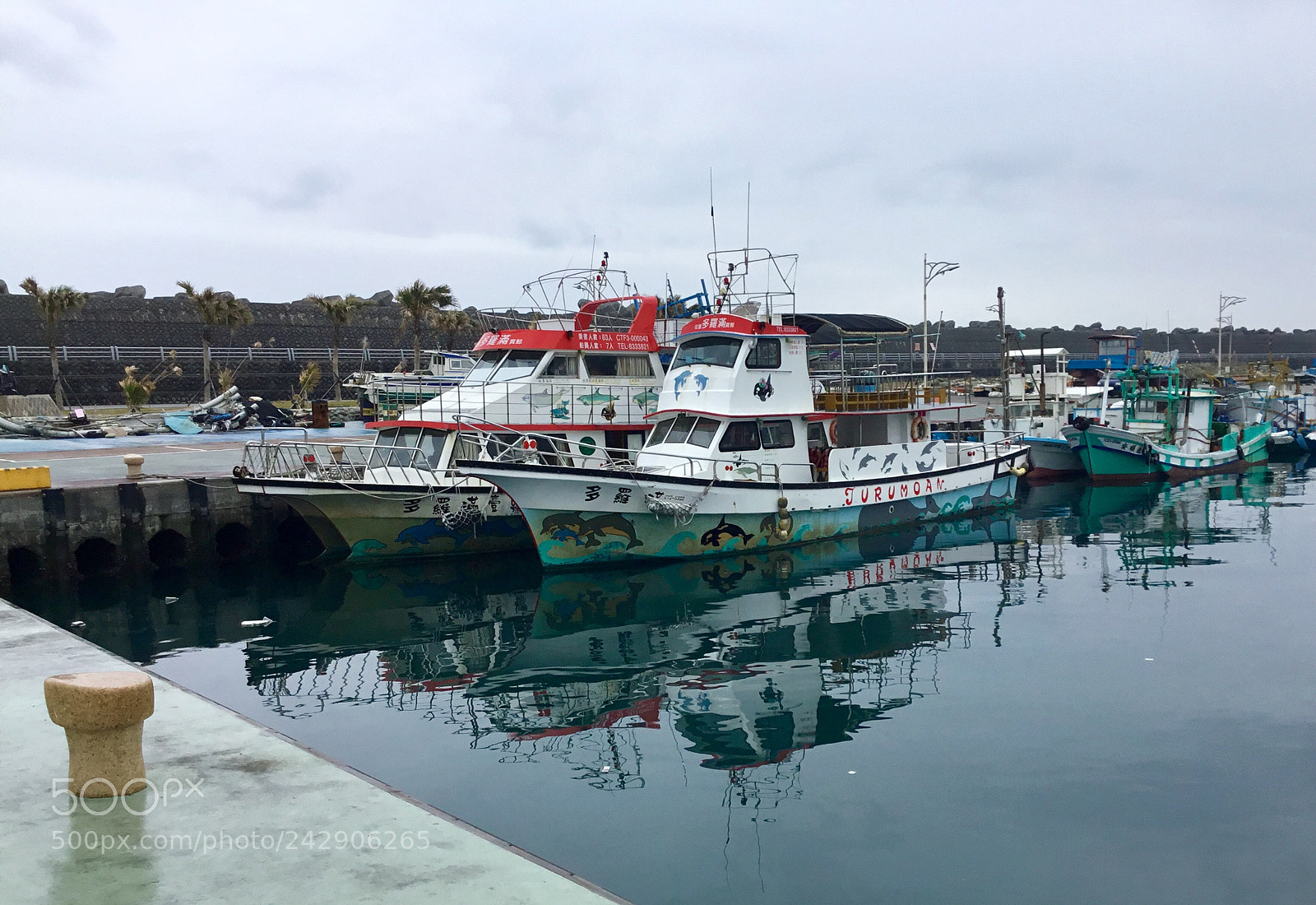 Apple iPad sample photo. Tourist whale sighting boats photography