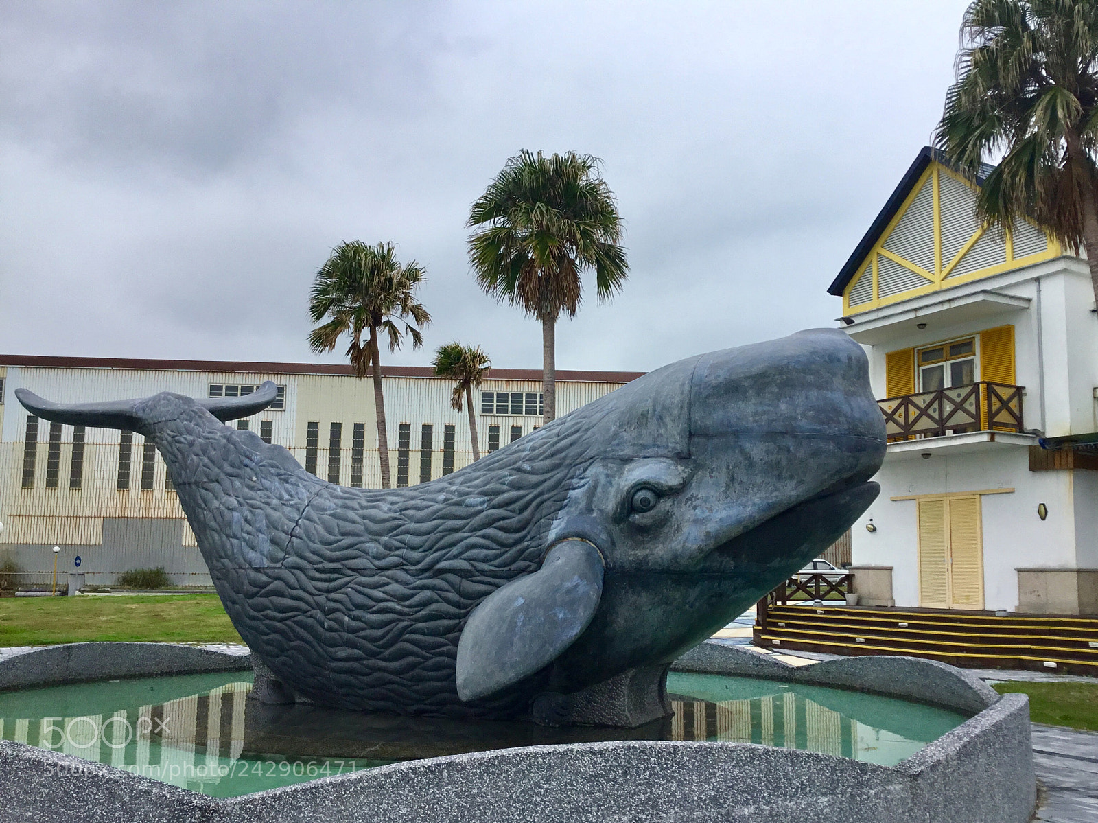 Apple iPad sample photo. The whale is sighted photography