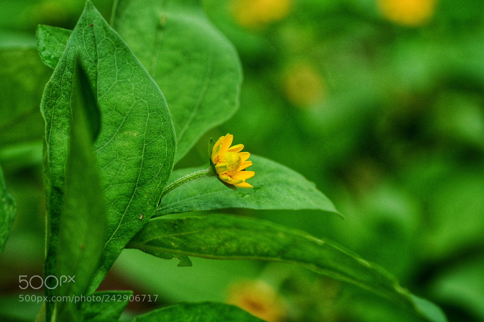 Nikon D7100 sample photo. Untitled photography