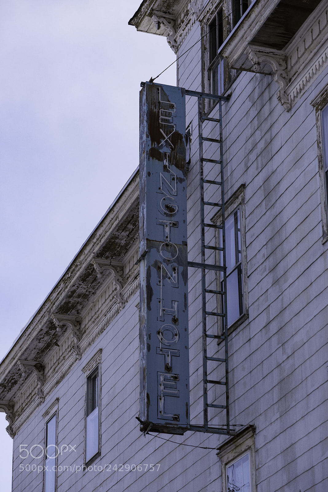 Nikon D810 sample photo. Lexington hotel photography
