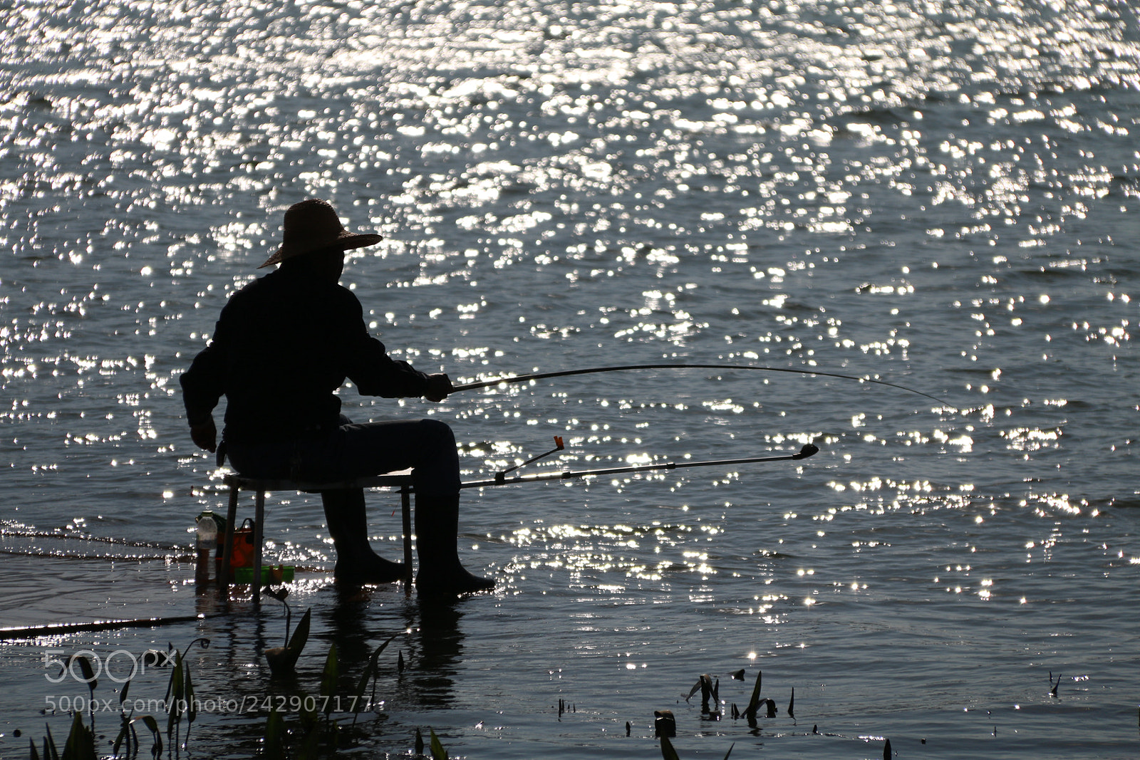 Canon EF-S 18-200mm F3.5-5.6 IS sample photo. 副本 副本 photography