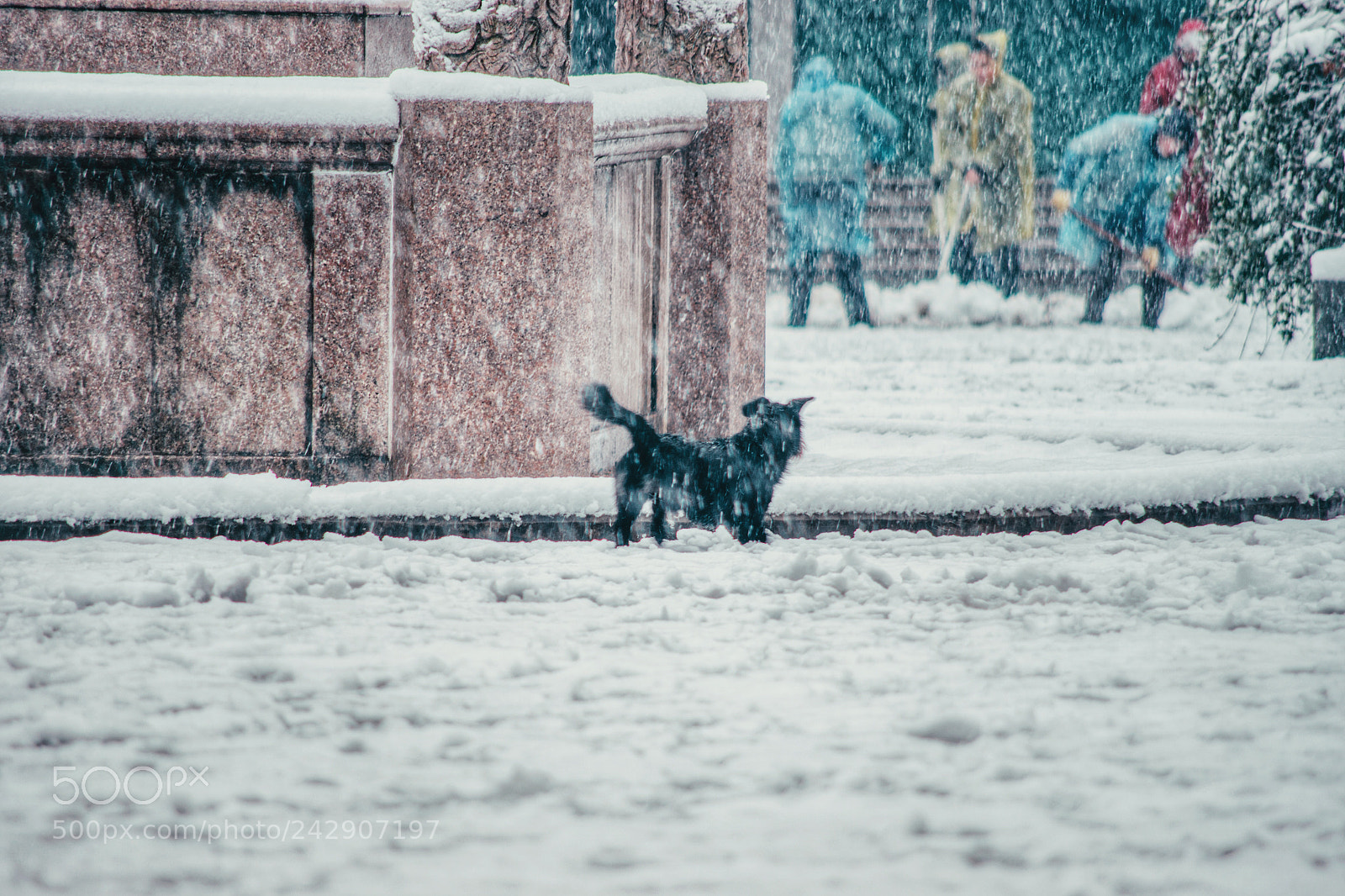 Pentax K-70 sample photo. Warm photography