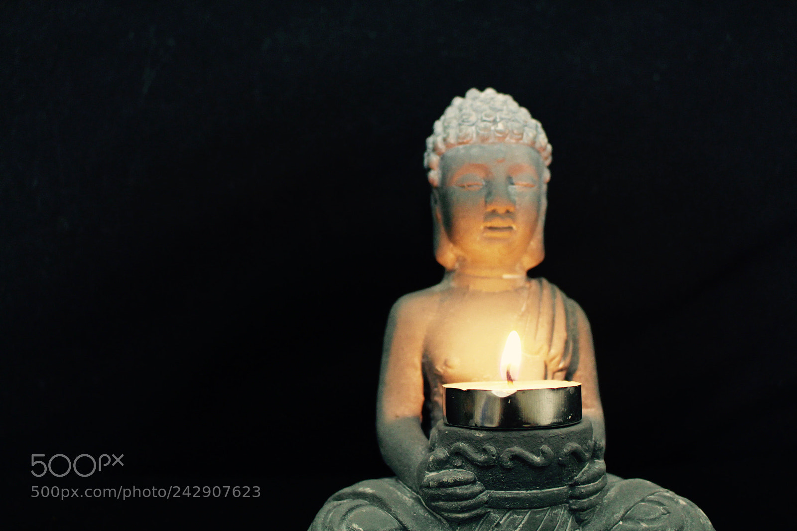 Canon EOS 700D (EOS Rebel T5i / EOS Kiss X7i) sample photo. Light within photography