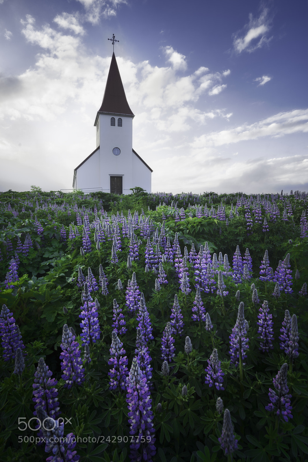 Sony a7 II sample photo. Vik i mydral church photography