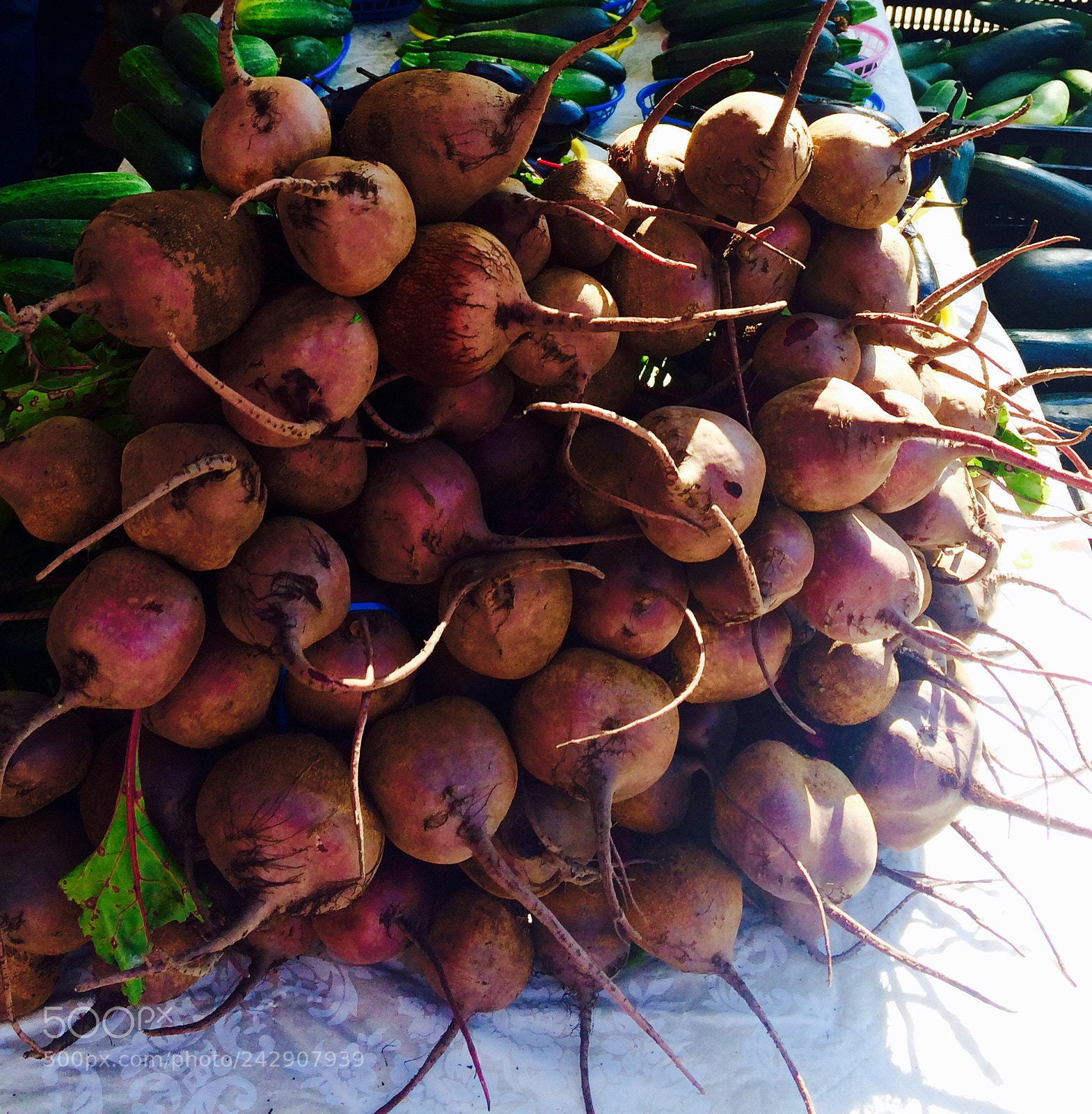 Apple iPhone 5s sample photo. Untitled photography