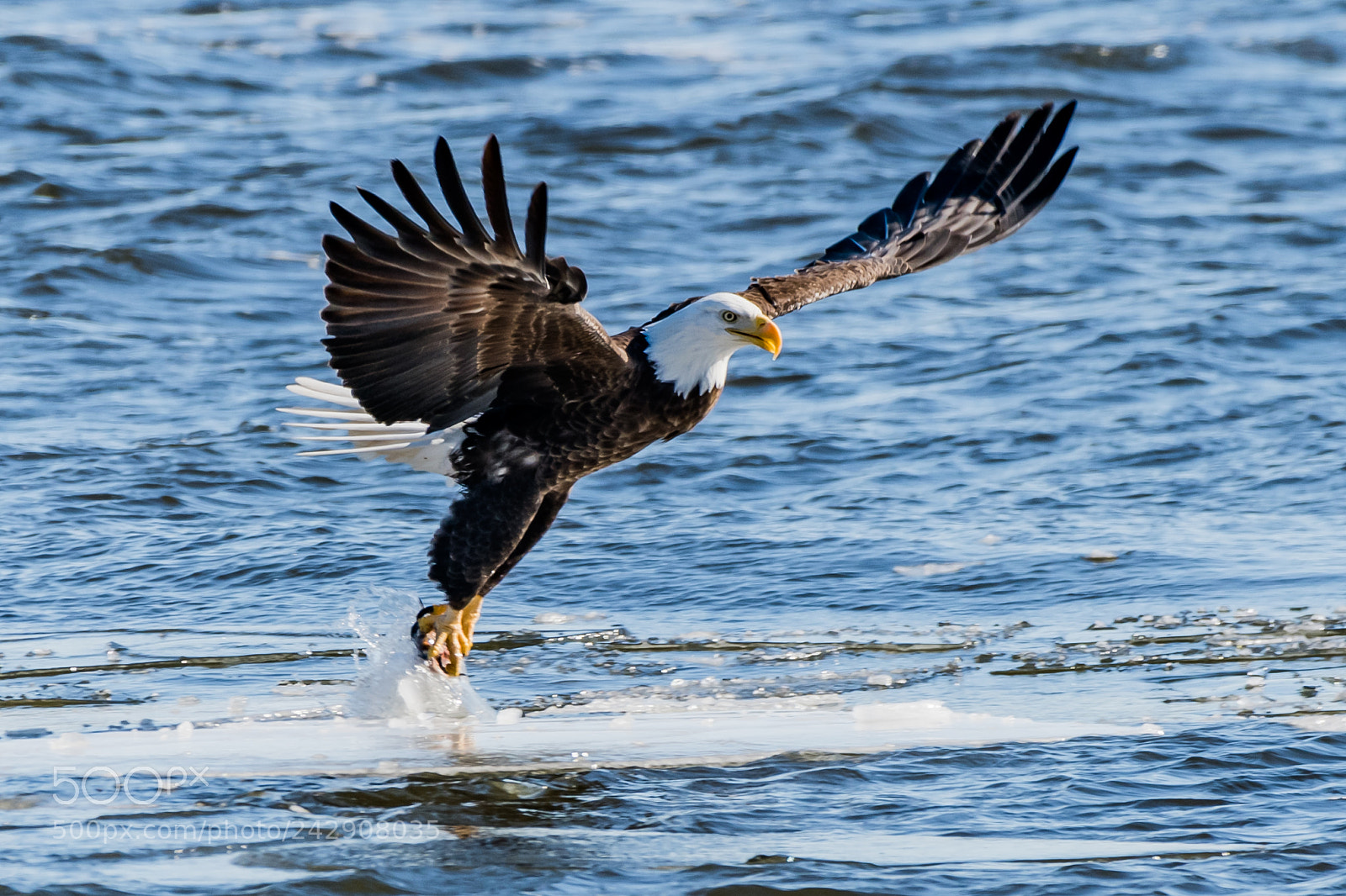 Nikon D850 sample photo. Fishing at mississippi river photography