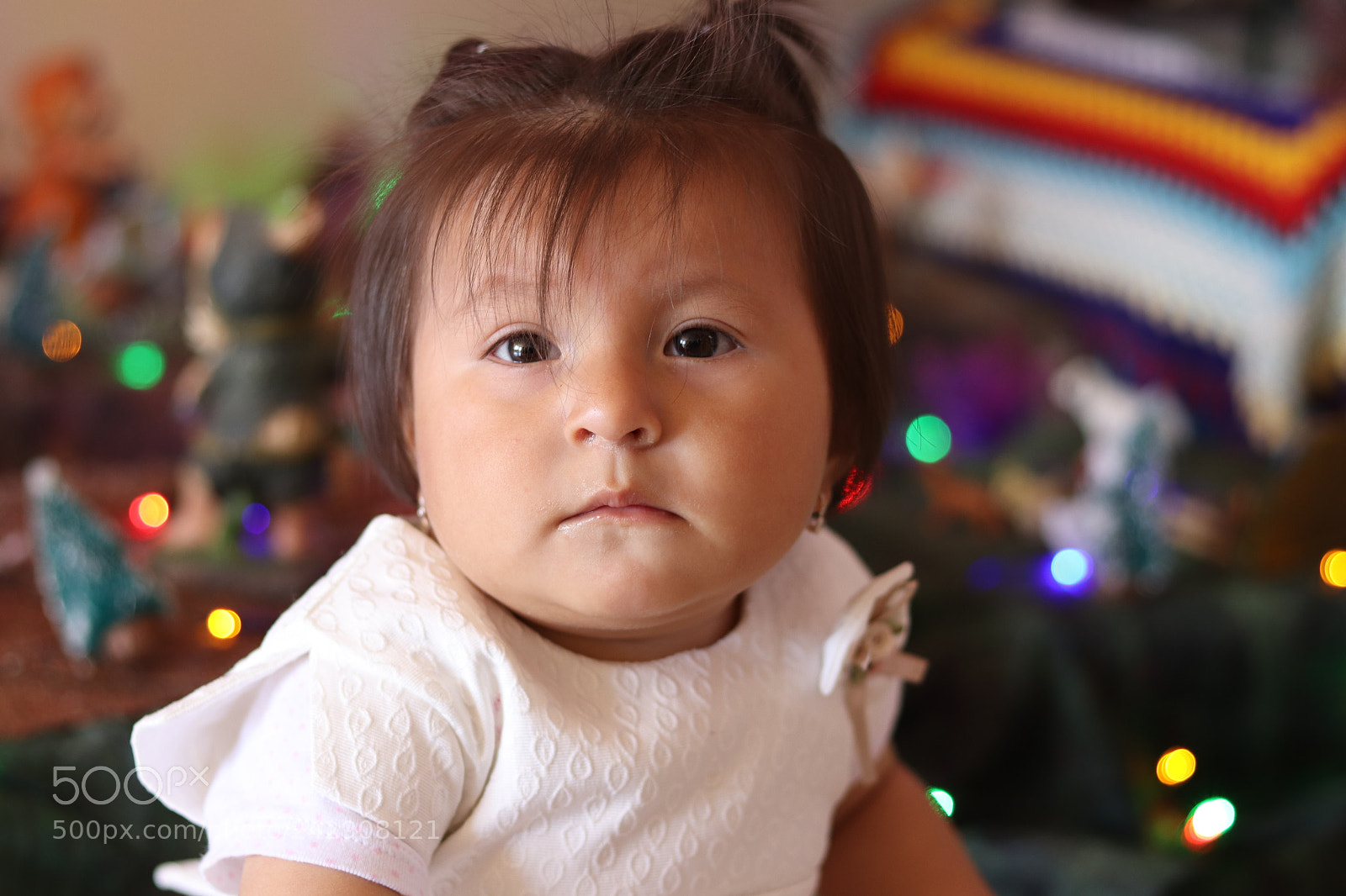 Canon EOS 77D (EOS 9000D / EOS 770D) + Canon EF 50mm F1.8 STM sample photo. Light life photography