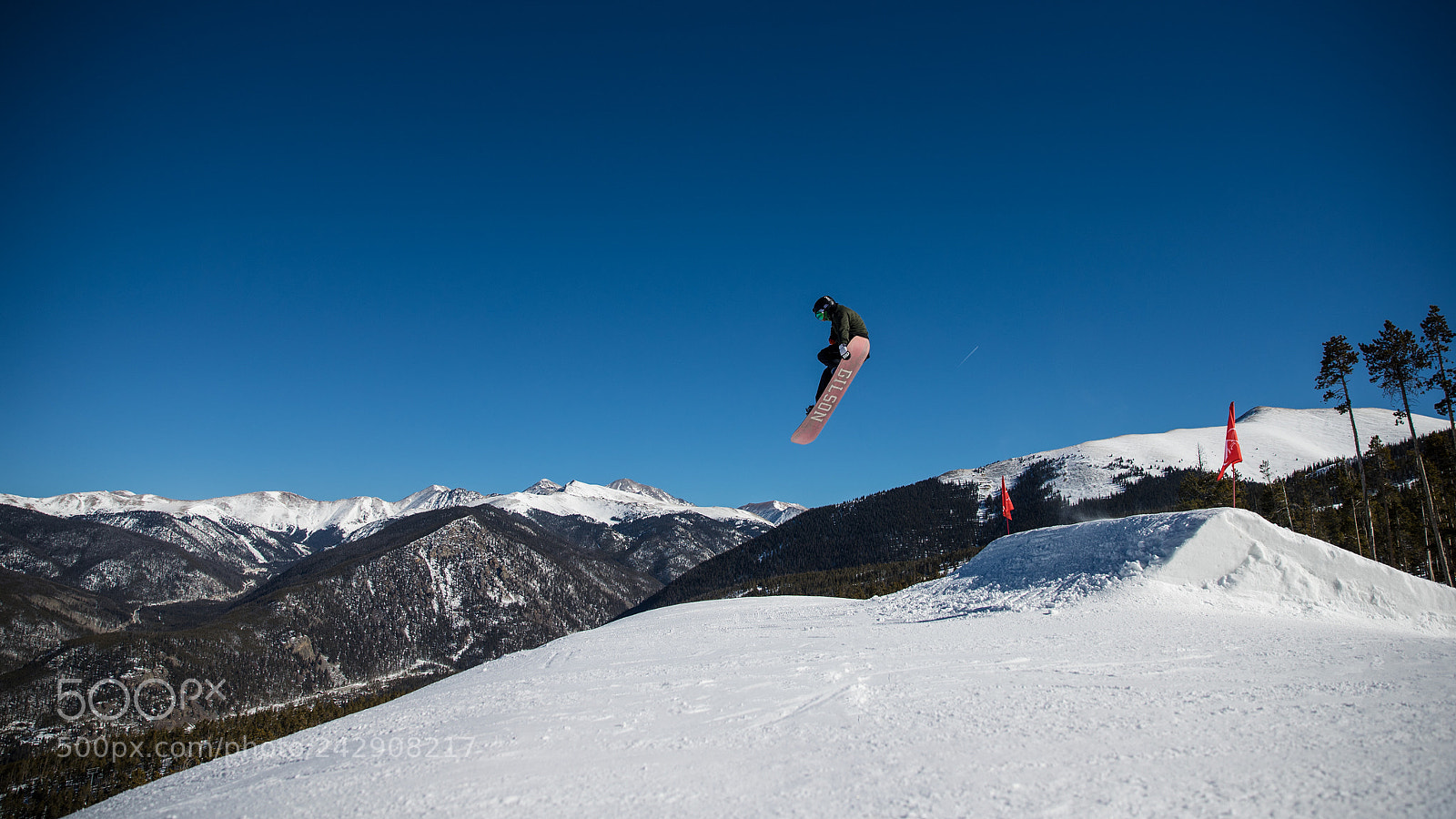 Canon EOS-1D X Mark II sample photo. Fly high photography