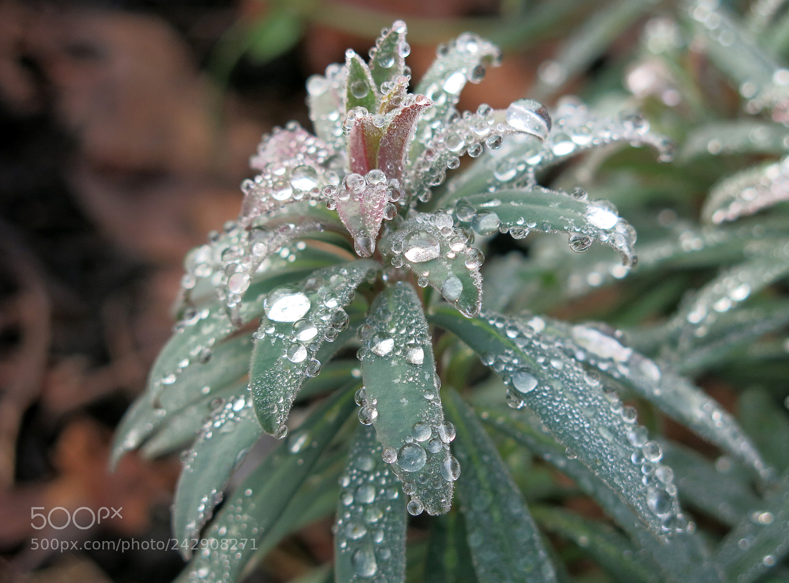Canon PowerShot G15 sample photo. Img 3388-0.jpg after the photography