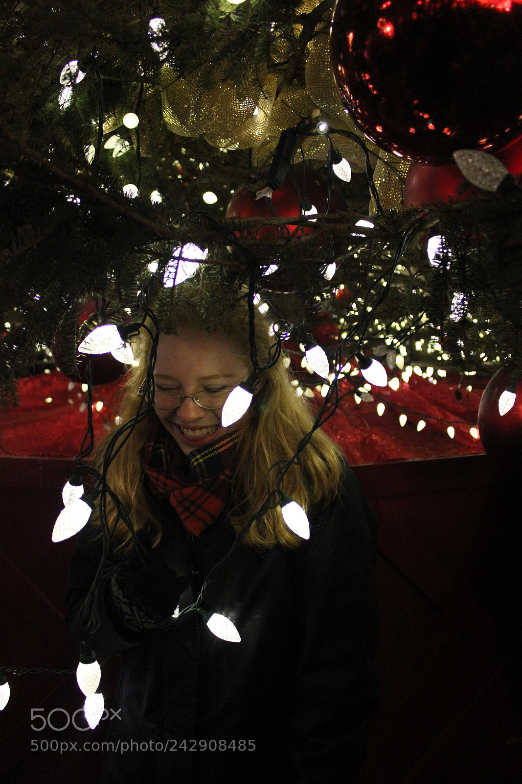 Canon EOS 550D (EOS Rebel T2i / EOS Kiss X4) sample photo. Christmas portrait 2017 photography
