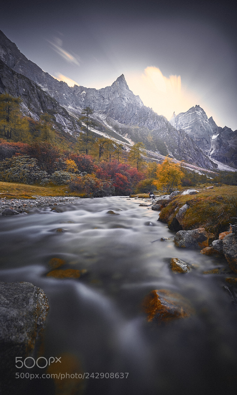 Nikon D810 sample photo. Ending autumn photography
