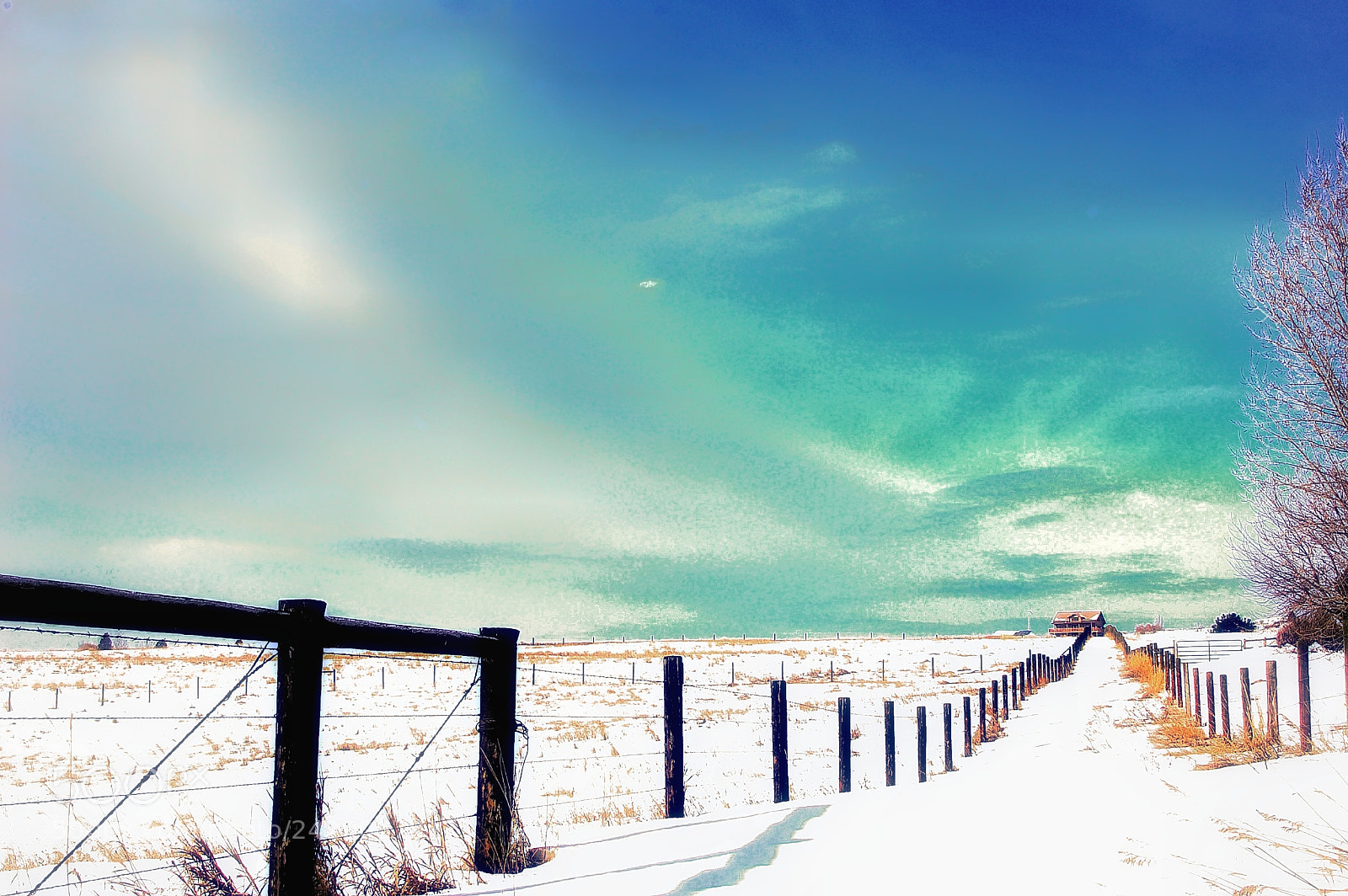 Nikon D40 sample photo. Fences photography