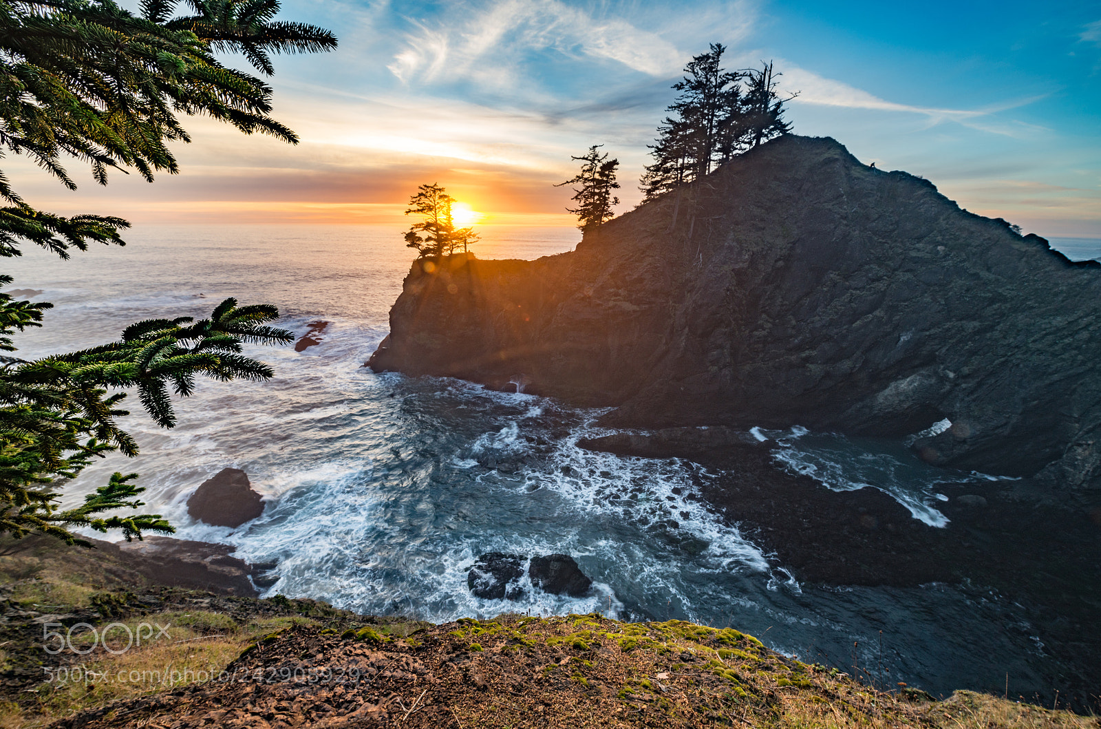 Nikon D850 sample photo. Seal cove & point photography