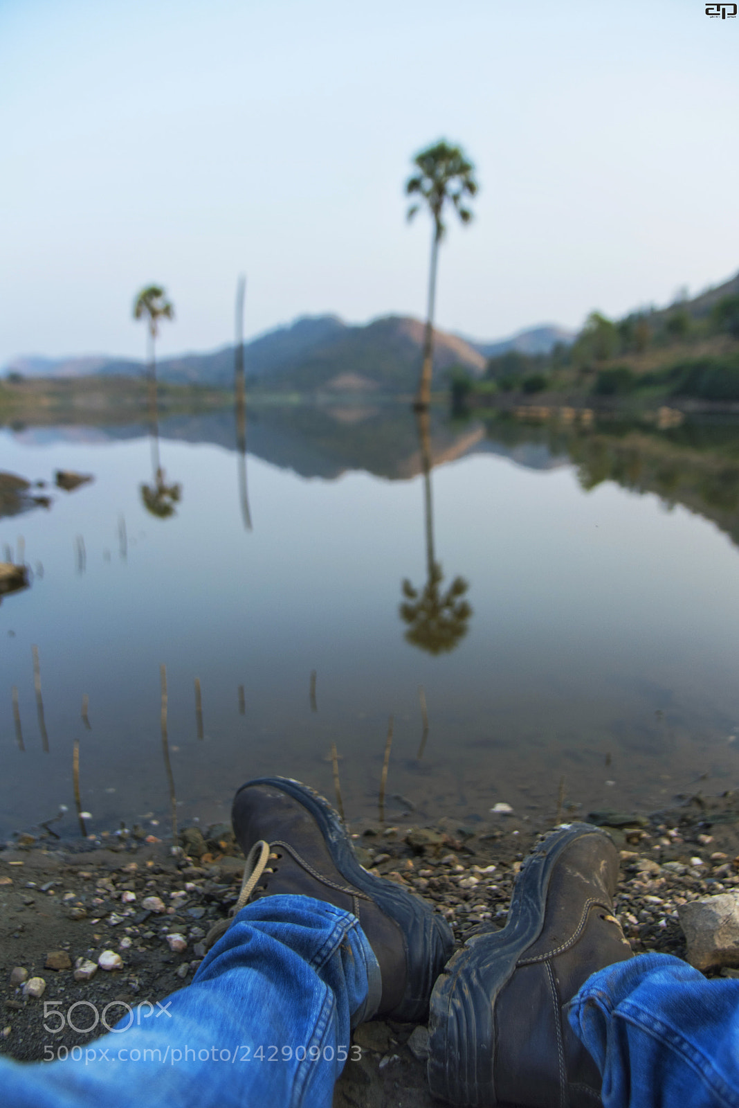 Nikon D810 sample photo. Into the wild i photography