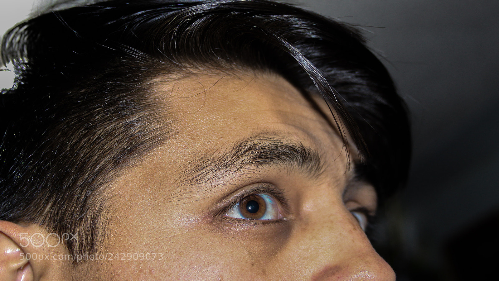 Canon EOS 50D sample photo. Eye photography