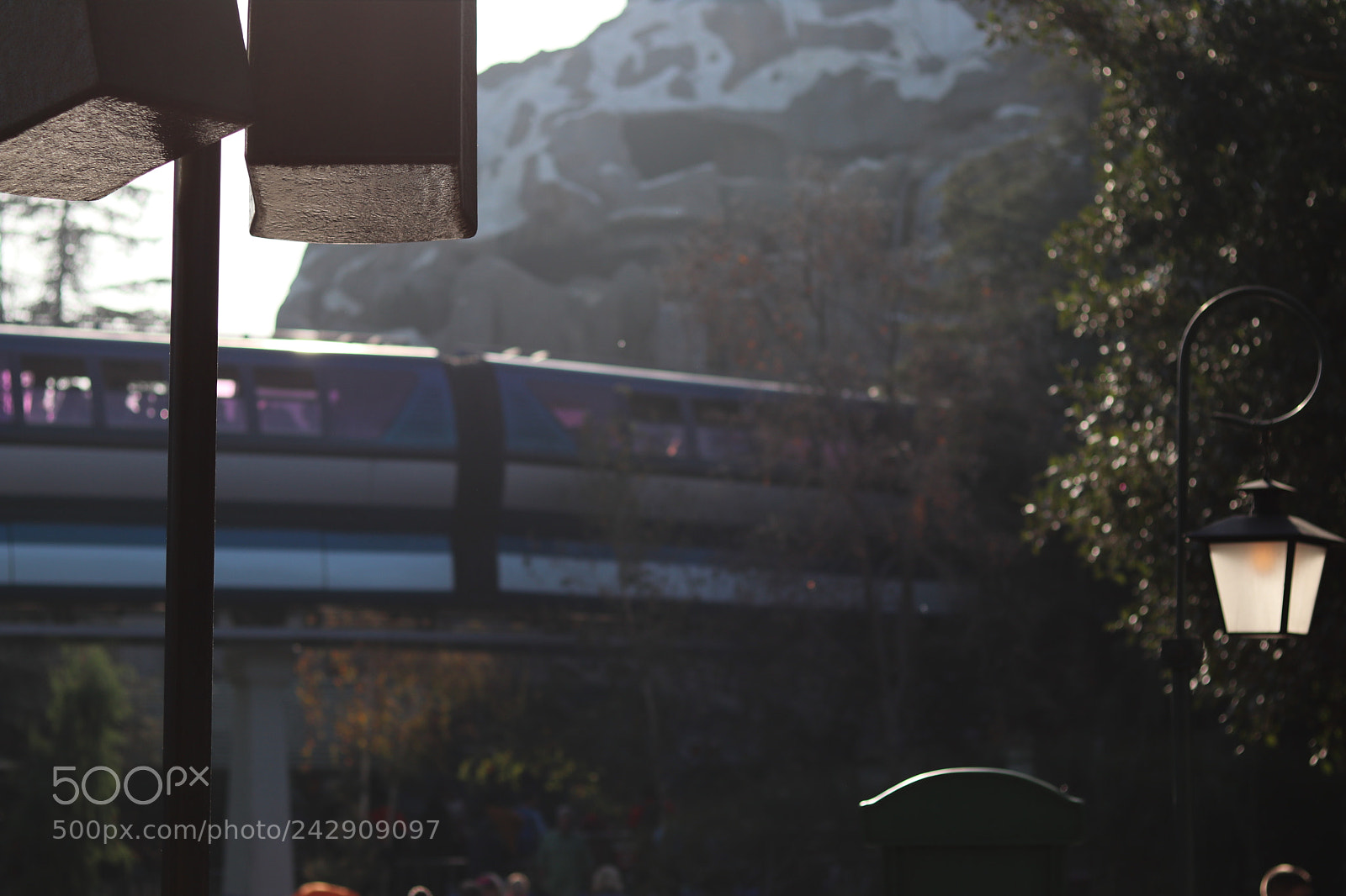 Canon EOS 80D + Canon EF 50mm F1.8 STM sample photo. () photography