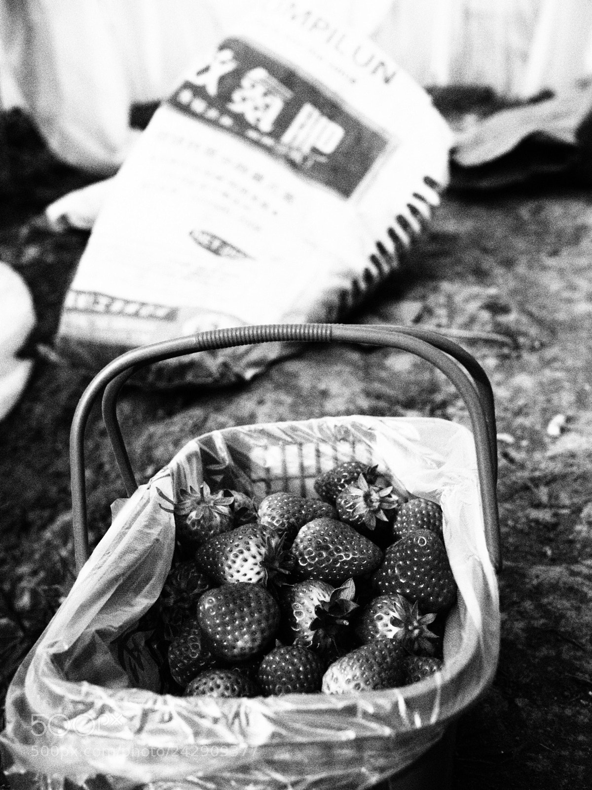 Olympus PEN E-P5 sample photo. Untitled photography