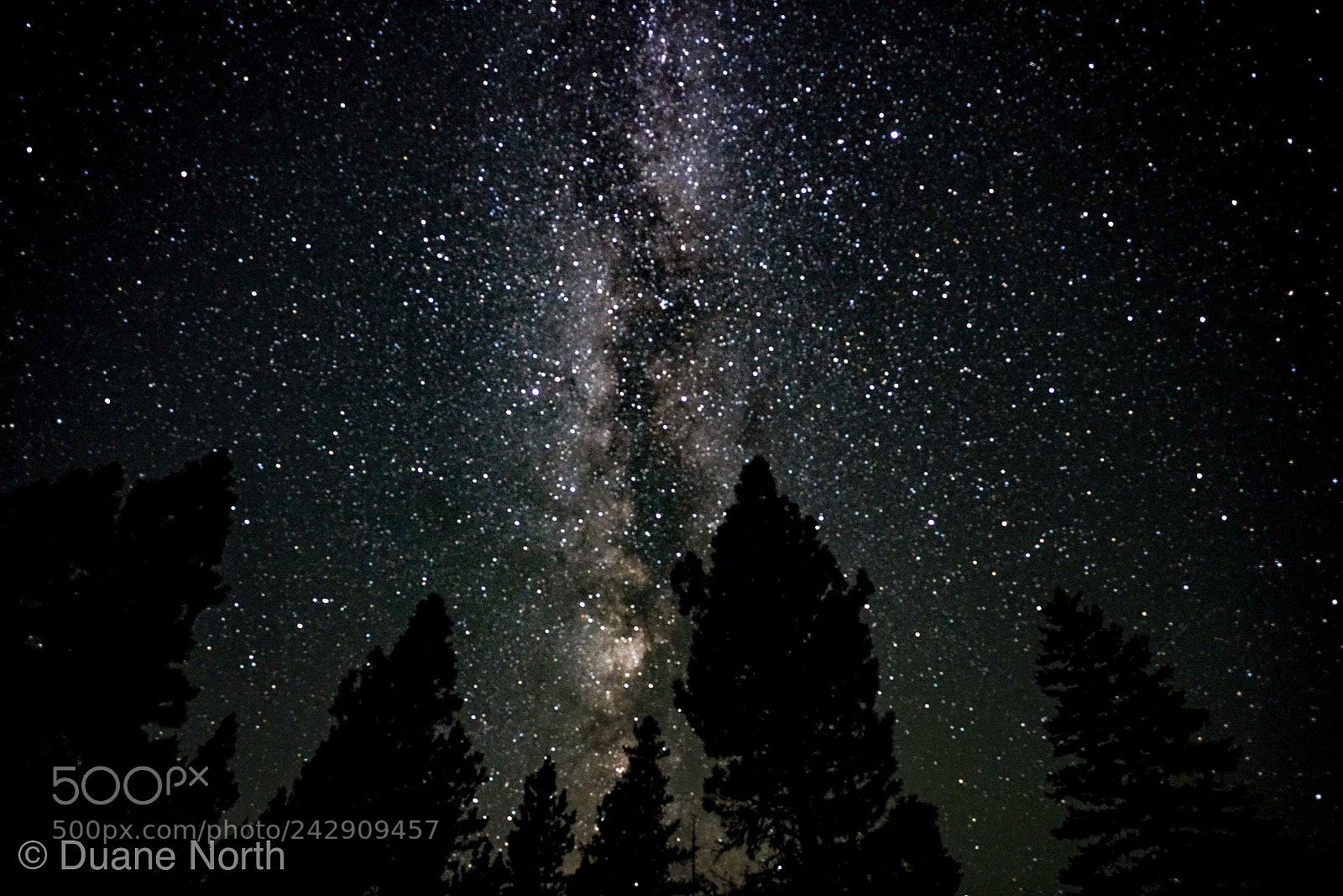 Sony a7R II sample photo. Milky way photography