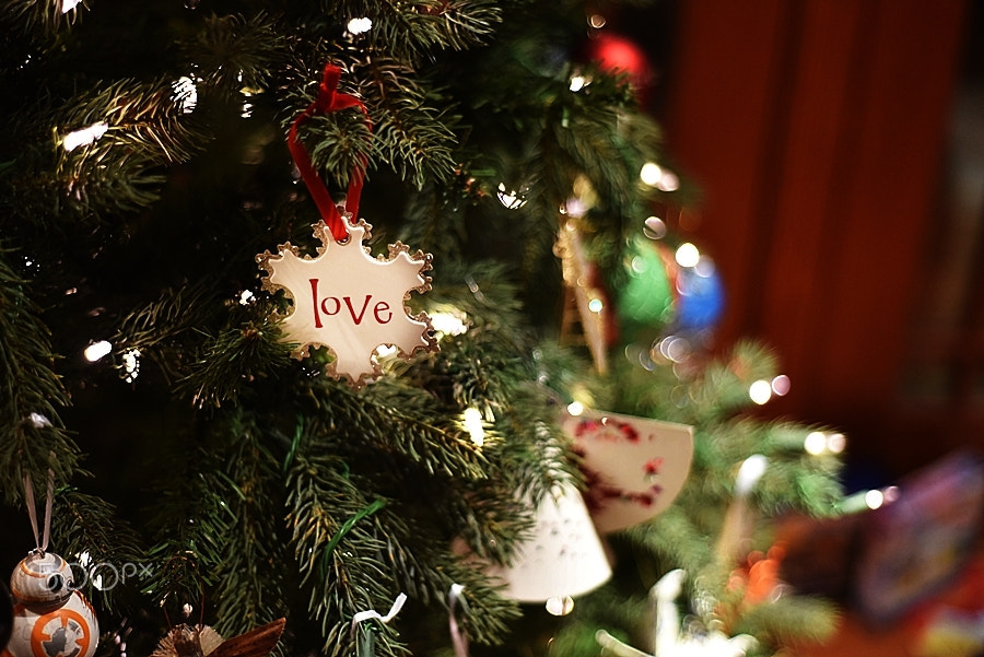 Nikon D750 + Nikon AF Nikkor 50mm F1.8D sample photo. Love photography