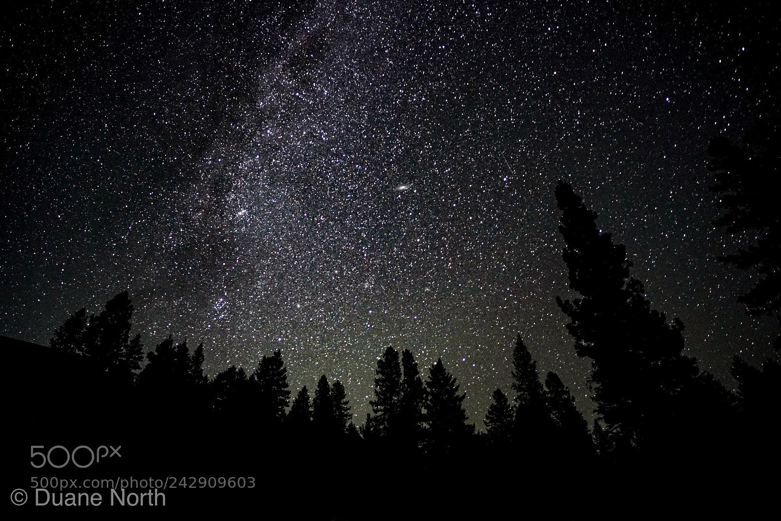 Sony a7R II sample photo. Montana sky photography