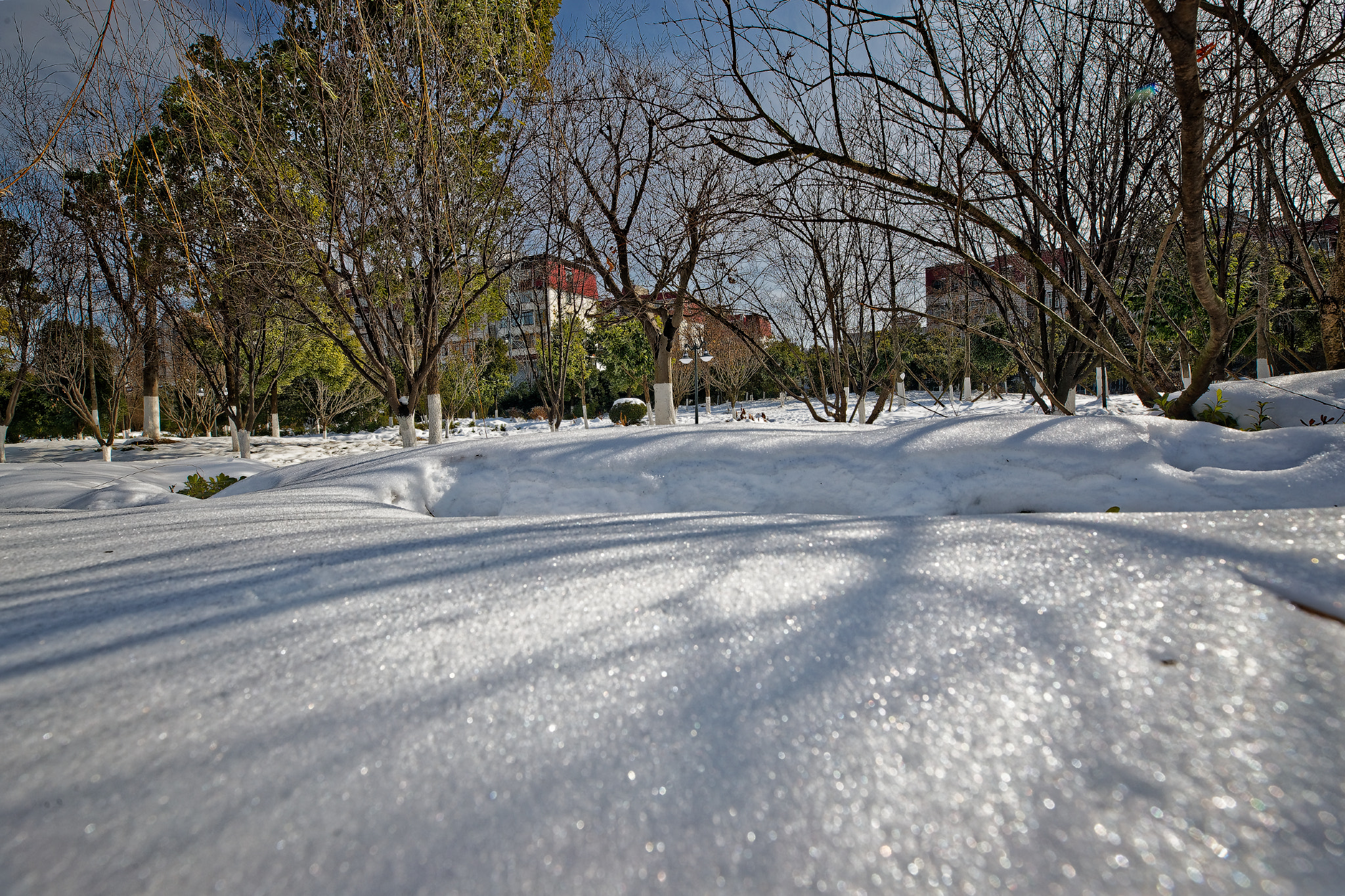 Canon EF 16-35mm F2.8L III USM sample photo. Ni photography